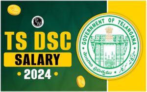 TS DSC Wage 2024, Wage Construction, Perks And Allowances