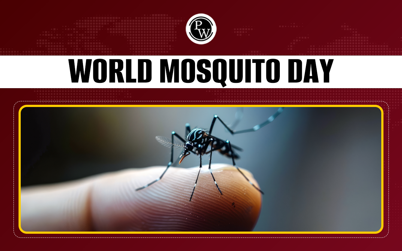 World Mosquito Day