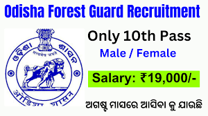 OSSSC Forest Guard Result 2024 PDF Download Check Forester Category-wise Cut off Marks list