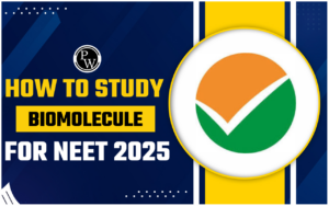 How To Research Biomolecules For NEET 2025, Necessary Matters For NEET