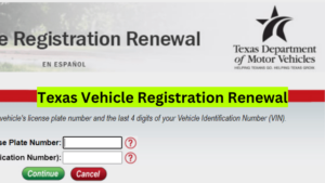 Texas Vehicle Registration Renewal Methods and Eligibility Requirements!