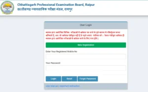 CG Pre B.Ed Admit Card 2024 Out vyapam.cgstate.gov.in, Download Link