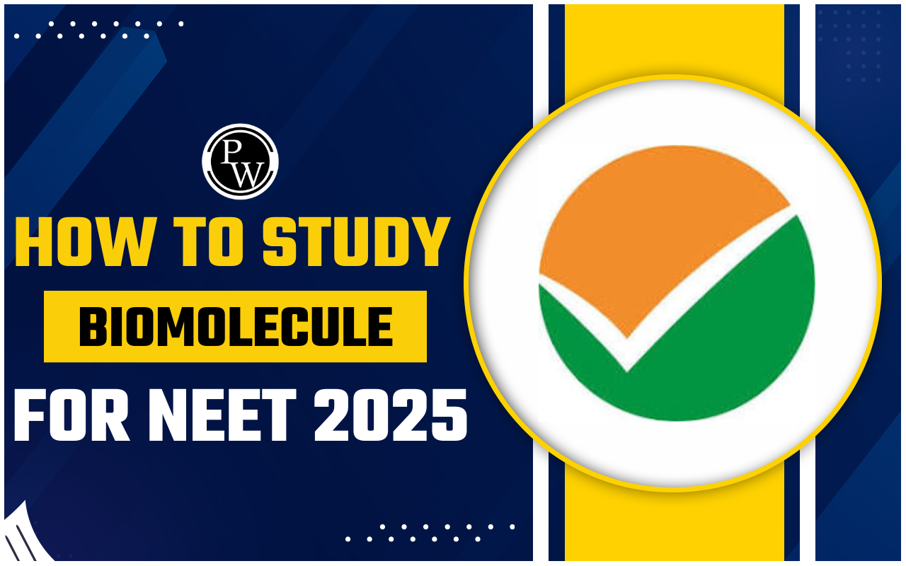 How to Study Biomolecules for NEET 2025