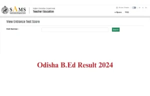 Odisha B.Ed Result 2024 Declared at te.samsodisha.gov.in, Examine Your Marks