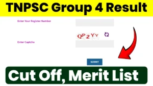 TNPSC Group 4 Result 2024, Cut Off, Merit List Direct Link