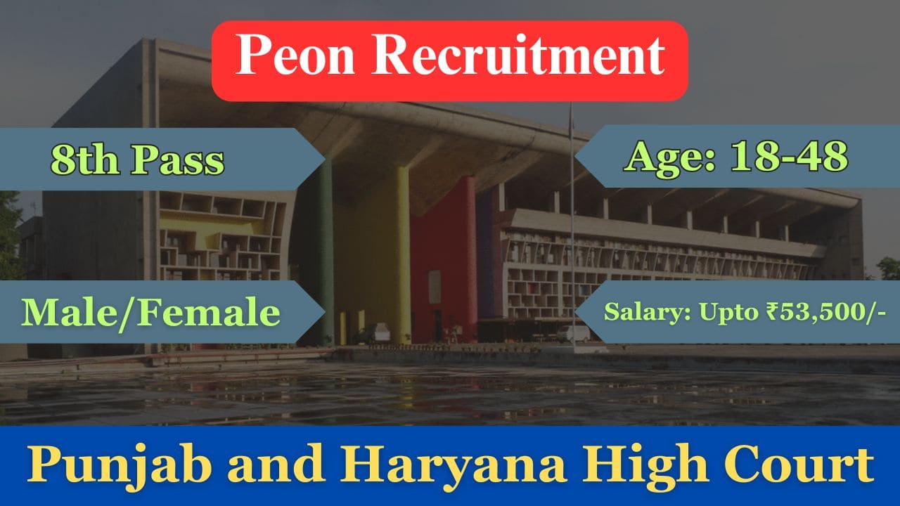 punjab and haryana high court peon recruitment